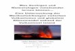 Was Geologen und Meteorologen voneinander lernen können ... · Was Geologen und Meteorologen voneinander lernen können… Eine Untersuchung der Wechselwirkungen zwischen Vulkanismus