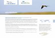 AfriBiRds - NABU - Naturschutzbund Deutschland · Gemeinsam für Vogelschutz Das Projekt „Afrikanische Biosphärenreservate als Pilotgebiete für Zugvogelmonito-ring und –schutz“,