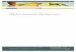 Marktkommentar Oktober 2017 - Startseite: Spiekermann AG · Zur Beachtung: Die in diesem Dokument enthaltenen Informationen stellen keine Anlageberatung dar, eine Haftung ist ausgeschlossen