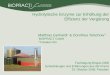 Hydrolytische Enzyme zur Erhöhung der Effizienz der Vergärung · Produktion und Charakteristik von MethaPlus ... 0.001 t Enzym 4.500 m³ Biogas + 18 % Biogas Der Einsatz von MethaPlus