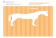 Pferde - bundespublikationen.admin.ch · Die Anatomie, die Physiologie und das Verhalten von domestizierten Pferden sind noch sehr ähnlich wie bei ihren wild lebenden Vorfahren