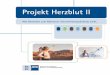 Projekt Herzblut ll - bw.ihk.de · Impressum Herausgeber: Baden-Württembergischer Industrie- und Handelskammertag Federführung Gewerbeförderung IHK Heilbronn-Franken Ferdinand-Braun-Str
