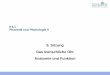 5. Sitzung Das menschliche Ohr Anatomie und Funktionmenzerath.phonetik.uni-frankfurt.de/teaching/K31/material5.pdf · K3.1 Phonetik und Phonologie II 5. Sitzung Das menschliche Ohr