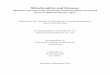 Mitochondria and Disease - uni-muenchen.de · Mitochondria and Disease: Mutation and expression landscape of mitochondria-associated genes in different disease types . Dissertation