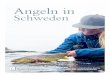 Angeln in Schweden - ifiske.se Fiske i Sverige.pdf · 2 Angeln macht Spaß, ganz gleich zu welcher Jahreszeit! In Schweden gewährt das sogenannte Jedermannsrecht allen Menschen das