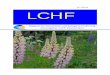 LCHF Magazin 1 Stand 2 Juni 2013 - LCHF Deutschland · Liebe Leserin, lieber Leser, endlich ist es da – das erste LCHF Magazin in deutscher Sprache. Als wir 2009 das erste „LCHF
