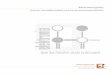 Businessplan zur Gründung von · PDF fileBusinessplan Seminar Geschäftsmodelle und Existenzgründung WS0405 - 3 - 1. Zusammenfassung Ziel der Unternehmensgründung von elektronia.net