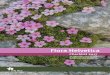 Annotated Checklist 2017 - infoflora.ch · Flora Helvetica Checklist 2017 der Gefässpflanzenflora der Schweiz de la flore vasculaire de la Suisse della flora vascolare della Svizzera