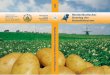 Niederl¤ndischer Katalog der Kartoffelsorten Katalog der...  10 11 Erl¤uterung der Ziffern und