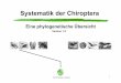 Systematik der Chiroptera - Benjamin Nitsche · divergence for the genus Cistugo (Chiroptera). Journal of Mammalogy. 91: 976-992. - Untersuchung von 4656 bp von Kern-genen und 2866