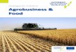Strategische Initiative Agrobusiness & Food · 4 derung von Innovationen) können als ein Teil/Modul von innovativen Projekten oder auch als eigenständiges Projekt gefördert werden