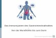 Das Immunsystem des Gastrointestinaltraktes Von der ... · Lamina propria Lymphozyten (Lp L) Systemische Abwehr Antigenaufnahme über Peyersche Plaques (M-Zellen) Produktion von sIgA