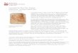 Leonardo da Vinci: Der Anatom - rct.uk languages_German_0.pdf · aufgebaute Plazenta, wie er sie bei der Sektion einer schwangeren Kuh einige Jahre zuvor gesehen hatte. Diese späten