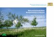 Naturschutzrechtliche Kompensation in Bayern - ifuplan.de · rischer Begleitplan (LBP). Hier werden alle wesentlichen Aspekte von Natur und Landschaft im Untersuchungs raum sowie