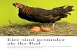 Eier sind gesünder als ihr Ruf - vitagate.ch · 6 _ DROGISTENSTERN 4/14 Eier sind gesünder als ihr Ruf Eier erhöhen den Cholesterinspiegel. Stimmt nicht! Sie sind sogar richtige