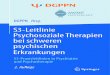 S3-Leitlinie Psychosoziale Therapien bei schweren ... · VII 5 Daniel Richter, Institut für Sozialmedizin, Arbeitsmedizin und Public Health (ISAP) der Universität Leipzig, Institut