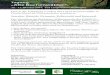 Tagung „Alte Buchenwälder“ - naturundtext.de · Tagung „Alte Buchenwälder“ 10.–12. Oktober 2019, Bad Langensalza (Thüringen) Durch die UNESCO wurden 2011 fünf Buchenwälder