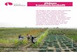 Chinas Landwirtschaft - eu-china.net · Probleme globalisierter Landwirtschaft Die chinesische Landwirtschaft kann heutzutage nicht mehr isoliert von der globalen Weltwirtschaft betrachtet