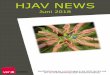 HJAV News Juni 2018 - sozialversicherung.verdi.de+file++5b21031956c12f374b332bc5/... · Inhaltlich bleibt der Teil Qualifizierung im HaQ gleich. Im neuen ARAS gibt es neben ein paar