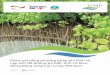 Đánh giá bằng phương pháp ghi hình và Lập bản đồ đường bờ ...coastal-protection-mekongdelta.com/download/library/119.CMVideo... · tỉnh Cà Mau, đồng bằng