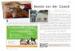 Hunde auf der Couch · 40 - W.O.L.L. April 2013 & artgerechte Hundeerziehung Problemhundtherapie Silvia Fischer Zertiﬁ zierte Problemhundtherapeutin nach SDTS® Welpen