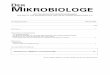 Mikrobiologe 2006-1 Seite 00-12 - Baemibaemi.de/fileadmin/baemi/der_mikrobiologe_komplett/Mikrobiologe_2006... · umsmedizin, Mikrobiologie, Virologie und Infekti onsepidemiologie,