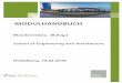 MODULHANDBUCH - hochschule-heidelberg.de · Themenbereich Mechanik I (Statik starrer Körper): Nach erfolgreichem Absol vieren der Technischen Mechanik I können die Studierenden