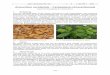 Anacardium occidentale - Cashewbaum - botanik-bochum.de · Jahrb. Bochumer Bot. Ver. 5 164-166 2014 – 164 – Anacardium occidentale – Cashewbaum (Anacardiaceae) ANNETTE HÖGGEMEIER