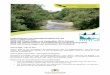 Informationen zum Managementplan für die Natura 2000 ... · Arten des Anhangs II der FFH-Richtlinie Code Wissenschaftlicher Name Deutscher Name 1013 Vertigo geyeri Vierzähnige Windelschnecke