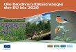 Die Biodiversitätsst rategie der EU bis 2020ec.europa.eu/environment/nature/info/pubs/docs/brochures/2020 Biod... · Die Biodiversitätsstrategie der EU bis 2020 Am 3. Mai 2011 nahm