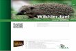 IWk4.1 Wildtier-2018 LOW - pro-igel.de Wildtier Igel 3 4.1 %HL *HIDKU IDXFKHQ SX HQ RGHU WX-ckern Igel