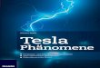 Tesla Phänomene - Leseprobe - ciando.com · Tesla Phänomene Hochstrom- und Solid-State-Teslageneratoren Tesla-/Mikrowellen-Richtstrahlen Elektrodynamische Wirbel Wahl Tesla Phänomene