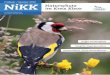 Kreisverband Kleve e. V. · Stieglitz, Vogel des Jahres Veranstaltungstermine von Januar bis Juli 2016 Halbjährliche Zeitschrift für Mitglieder und Freunde des NABU Kreisverband