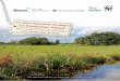 ategie alt - NABU - Naturschutzbund Deutschland · 4 Die 2007 vom Bundeskabinett beschlossene Nationale Strategie zur biologischen Vielfalt stellt bis heute einen Meilen-stein der
