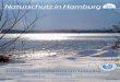 NaturschutzinHamburg - epub.sub.uni-hamburg.deepub.sub.uni-hamburg.de/epub/volltexte/2013/22681/pdf/NABU_2012_4.pdf · Direkt anmelden: oder Tel. 25 76-25 73 2331..8Märsz 2b 7i s