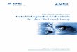 Blaulichtgefährdung Fotobiologische Sicherheit in der ... · 2 Impressum Fotobiologische Sicherheit in der Beleuchtung – Blaulichtgefährdung Herausgeber: ZVEI - Zentralverband