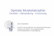 Spinale Muskelatrophie - muskelstiftung.de · Voraussetzung für die Erkrankung ist eine homozygote Deletion des SMN1-Gens