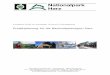 Projektplanung für die Nationalparkregion Harz · Holsteinisches Wattenmeer, NLP Bayerischer Wald). Meilensteine Prüfen der vorhandenen Konzepte Auswahl von Partnern (z.B. Viabono)