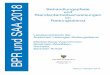 BPR und SAA 2018 - ms.sachsen-anhalt.de · BPR und SAA 2018 Behandlungspfade und Standardarbeitsanweisungen im Rettungsdienst Landesverbände der Ärztlichen Leitungen Rettungsdienst