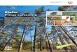 Kiefer Pinus sylvestris - Wald & Holz · Pinus sylvestris Mit 11 Prozent Anteil der Gesamtwaldfläche, stellt die Kiefer den zweitwichtigsten Nadelholzbaum in Nordrhein-Westfalen