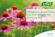 itelligence World 2018 Go SAP Projekt bei Bioforce AG Einf£¼hrung SAP mit dem Modul FI f£¼r Bioforce