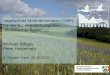 Vogelschutz-Maßnahmenplan (VMP) für das EU-Vogelschutzgebietm.hochsauerlandkreis.de/buergerinfo/formulare/VMP_VSG_Medebacher_Bucht... · Vogelschutz-Maßnahmenplan Medebacher Bucht