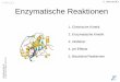 U. Albrecht BC1 Enzymatische Reaktionen - unifr.ch · Inhibitoren sind der Struktur des Substrates ähnlich und interferieren mit dem Enzym Enzyminhibitoren -> Chemotherapeutika siehe
