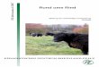 Bildung für nachhaltige Entwicklung Biologie · 3.1 Grundlagen der Anatomie, der Verdauung und der Fütterung Wiederkäuergebiss Rinder sind als Wiederkäuer reine Pflanzenfresser