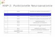 KNP-2: Funktionelle Neuroanatomie · 1 KNP-2: Funktionelle Neuroanatomie 1 04.05. Geschichte der kognitiven Neurowissenschaft (1) 2 11.05. Funktionelle Neuroanatomie (2) & (3) 3 18.05