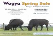 20. Mai 2017 - 14:00 Uhr in Münster · 6 Die Gesundheit des Wagyu-Fleisches Untersuchungen von Steve Smith, Texas A&M University Es ist bekannt, dass der wöchentliche Verzehr von