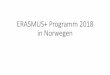 ERASMUS+ Programm 2018 in Norwegen - dlr.rlp.de fileAntonio und Thomas außer Rand und Band auf dem Friedhof! Hier kommt auch schöner Rasen hin!
