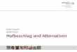 Erwin Hartner Hufschmied Hufbeschlag und Alternativen · Universitätsklinik für Pferde 3 Sohle im Zehenbereich schonen (nicht dünn schneiden) Den Strahl kräftig lassen und nicht