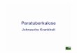 37 Paratuberkulose Internet - patho.vetmed.uni-muenchen.de · Pathogenese (2): - es werden zwei Formen von histologischen Veränderun-gen unterschieden, die paucibacilläre Form (wenige