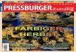 FARBIGER HERBST - pressburger.eupressburger.eu/AttachmentsUpload/PZ 2014-09-10-Fertige Zeitung.pdf · POLITIKA Proti vyčleňovaniu Rómov 14 Najväčšia dráma môjho života 16